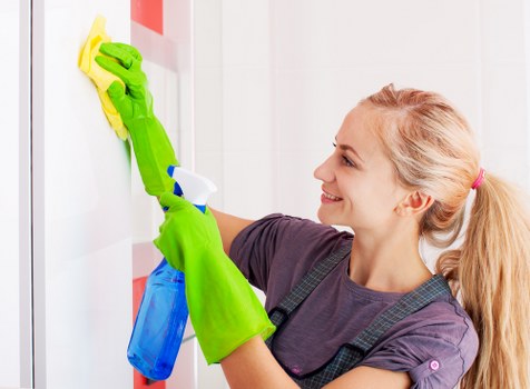 Cleaner Westminster recycling services supporting borough sustainability