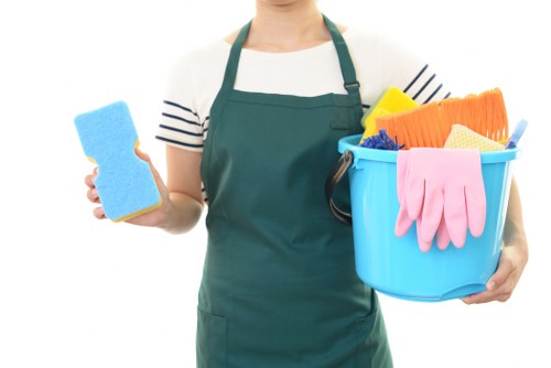 Professional oven cleaning service for a Westminster home kitchen