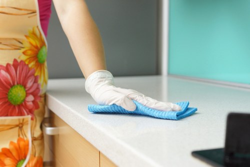 Professional domestic cleaning for a Westminster flat interior