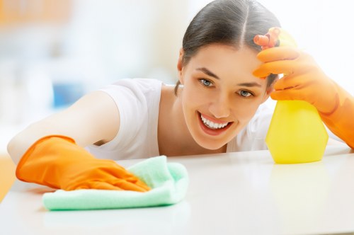 Final property cleaning for tenants and landlords in Westminster
