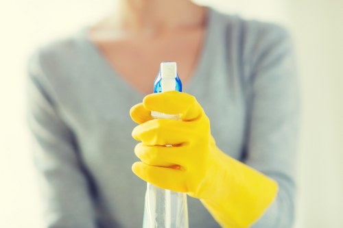 Regular housekeeping service for a central London apartment