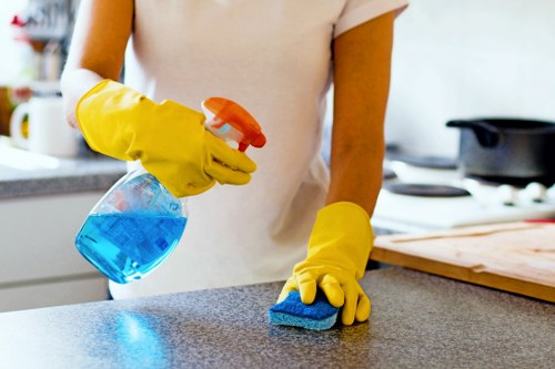 Professional cleaners maintaining a Westminster business property