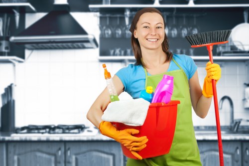 Professional cleaning of glass, frames, and sills in Westminster