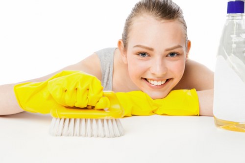 Professional pet stain and odour removal for Westminster carpets