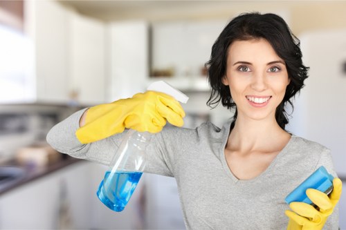 Professional domestic cleaning in a Westminster apartment