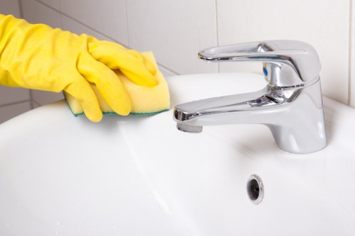 Cleaner Westminster policy review and safety checklist