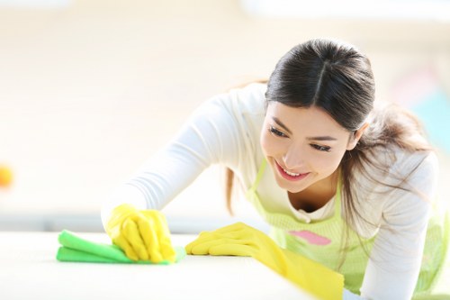 Freshly cleaned windows on a Westminster home or business
