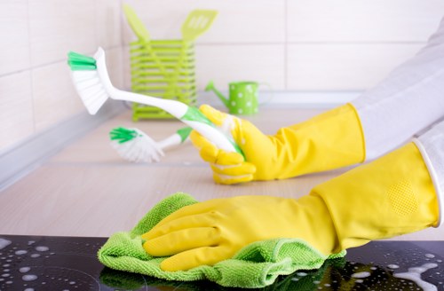Targeted upholstery stain treatment for a sofa in central London