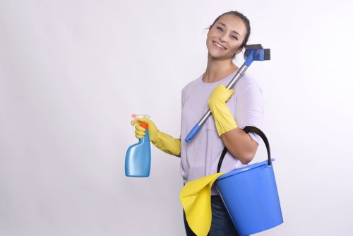 Carpet cleaning process and stain treatment for a busy Westminster flat or office