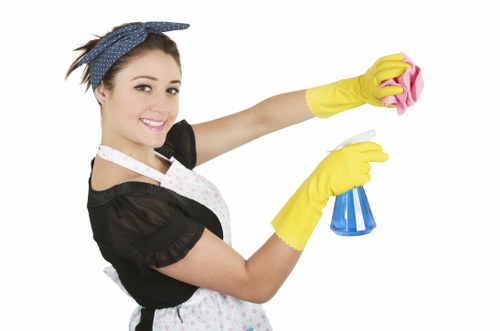 Local cleaning team working in a Westminster apartment or townhouse